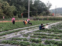 深圳公司拓展农家乐一日游介绍