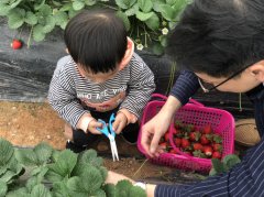体验不一样的团建