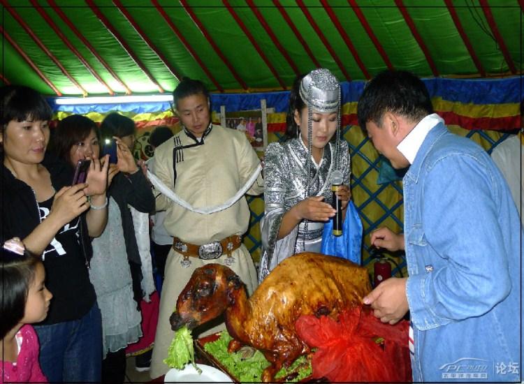 草原大图2.jpg